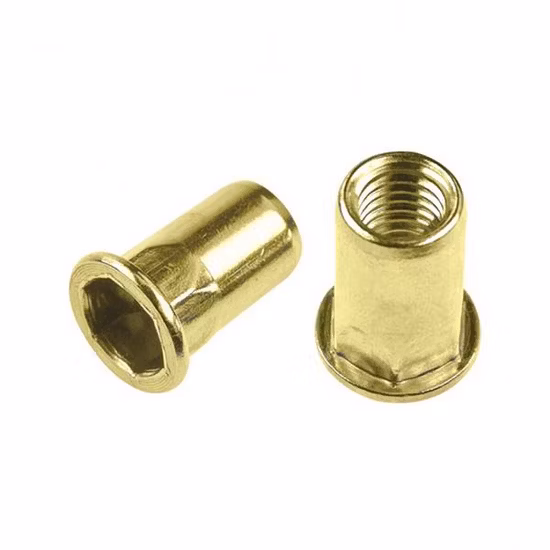 Plano Reducir Cabeza hexagonal Reducido Redondo Liso Cerrar Extremo abierto Semi-hexagonal Moleteado Cuerpo hexagonal interior Acero SS304 Ss 316 Aluminio M8 M10 Insertar Rivnut Rivet Nut Nutsert